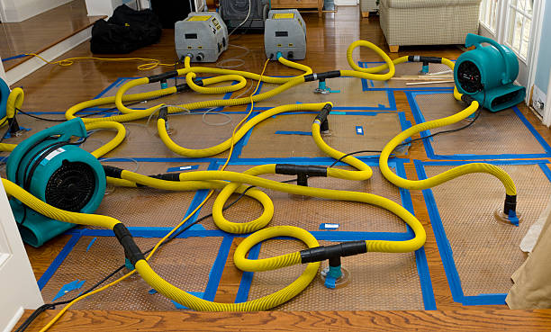 Professional Structural Drying And Dehumidification technician working in Afton, TN